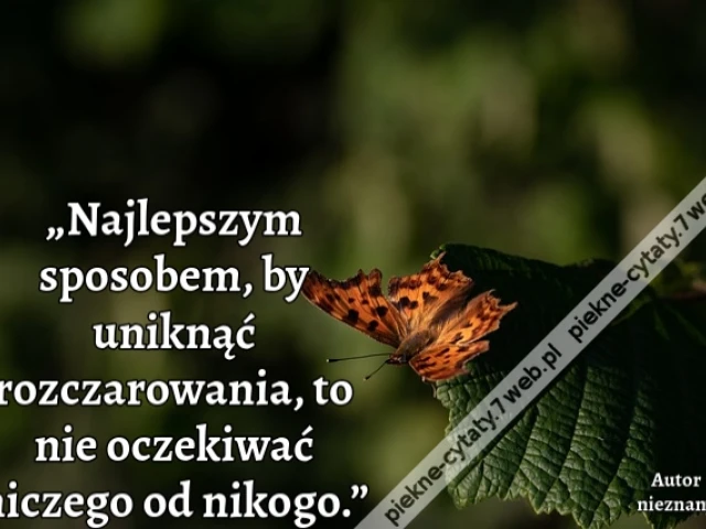 „Najlepszym sposobem, by uniknąć rozczarowania, to nie oczekiwać niczego od nikogo.”