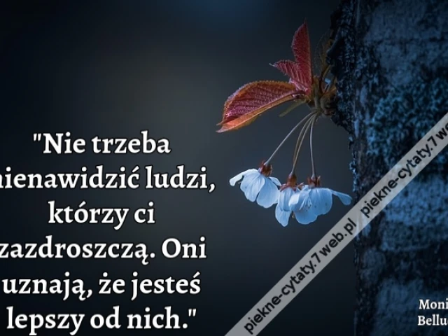"Nie trzeba nienawidzić ludzi, którzy ci zazdroszczą. Oni uznają, że jesteś lepszy od nich."