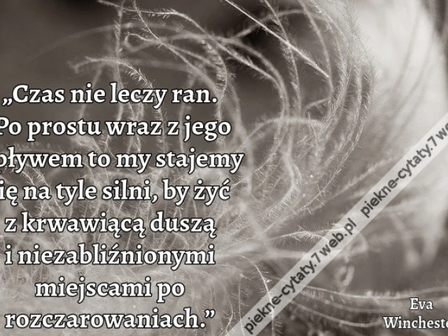 „Czas nie leczy ran. Po prostu wraz z jego upływem to my stajemy się na tyle silni, by żyć z krwawiącą duszą i niezabliźnionymi miejscami po rozczarowaniach.”
