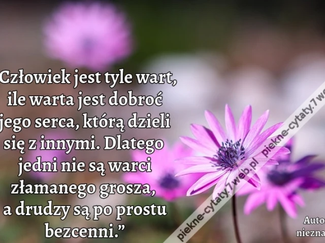 „Człowiek jest tyle wart, ile warta jest dobroć jego serca, którą dzieli się z innymi. Dlatego jedni nie są warci złamanego grosza, a drudzy są po prostu bezcenni.”