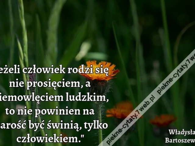 "Jeżeli człowiek rodzi się nie prosięciem, a niemowlęciem ludzkim, to nie powinien na starość być świnią, tylko człowiekiem."