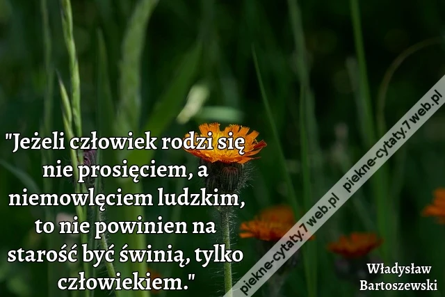 "Jeżeli człowiek rodzi się nie prosięciem, a niemowlęciem ludzkim, to nie powinien na starość być świnią, tylko człowiekiem."