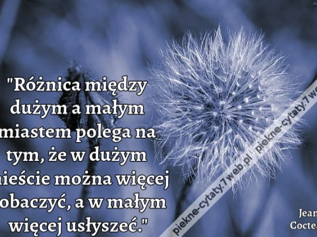 "Różnica między dużym a małym miastem polega na tym, że w dużym mieście można więcej zobaczyć, a w małym więcej usłyszeć."