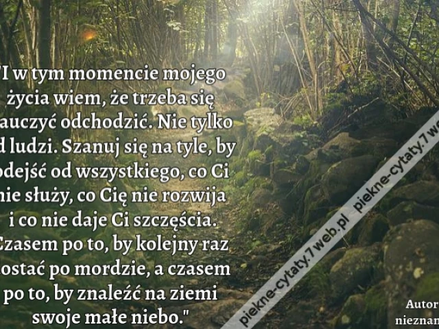 I w tym momencie mojego życia wiem, że trzeba się nauczyć odchodzić. Nie tylko od ludzi. Szanuj się na tyle, by odejść od wszystkiego, co Ci nie służy, co Cię nie rozwija i co nie daje Ci szczęścia. Czasem po to, by kolejny raz dostać po mordzie, a czasem