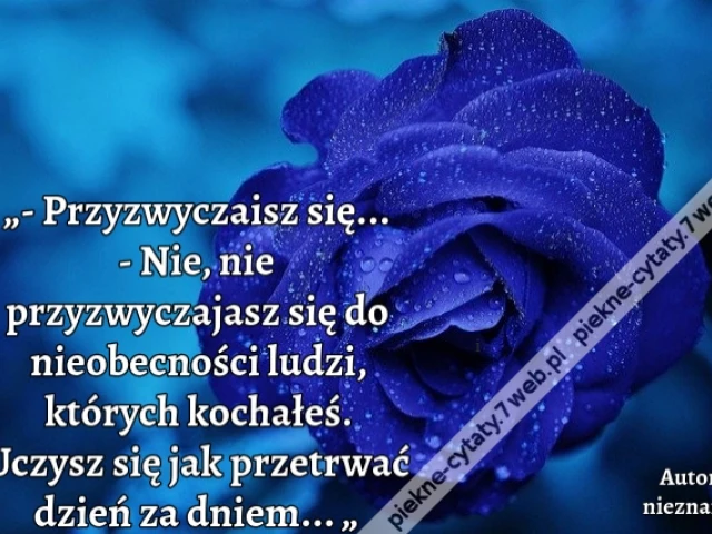 „- Przyzwyczaisz się... - Nie, nie przyzwyczajasz się do nieobecności ludzi, których kochałeś. Uczysz się jak przetrwać dzień za dniem... „