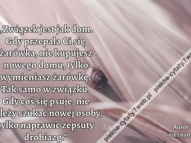 „Związek jest jak dom. Gdy przepala Ci się żarówka, nie kupujesz nowego domu, tylko wymieniasz żarówkę. Tak samo w związku. Gdy coś się psuje, nie należy szukać nowej osoby, tylko naprawić zepsuty drobiazg.”