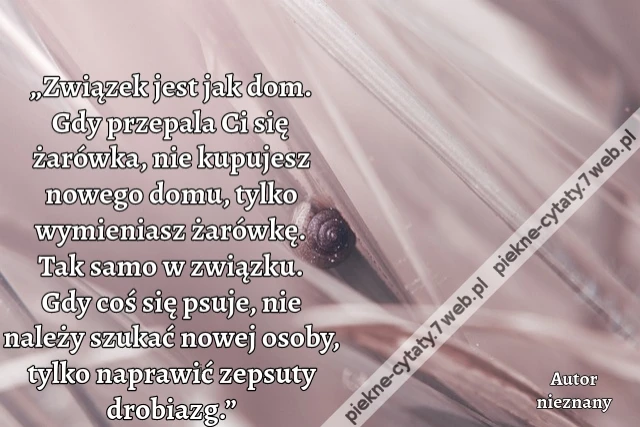 „Związek jest jak dom. Gdy przepala Ci się żarówka, nie kupujesz nowego domu, tylko wymieniasz żarówkę. Tak samo w związku. Gdy coś się psuje, nie należy szukać nowej osoby, tylko naprawić zepsuty drobiazg.”