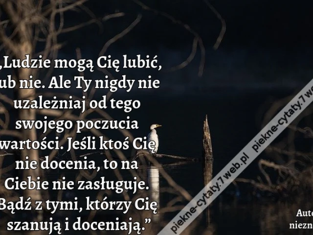 „Ludzie mogą Cię lubić, lub nie. Ale Ty nigdy nie uzależniaj od tego swojego poczucia wartości. Jeśli ktoś Cię nie docenia, to na Ciebie nie zasługuje. Bądź z tymi, którzy Cię szanują i doceniają.”