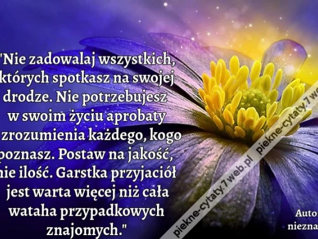 "Nie zadowalaj wszystkich, których spotkasz na swojej drodze. Nie potrzebujesz w swoim życiu aprobaty i zrozumienia każdego, kogo poznasz. Postaw na jakość, nie ilość. Garstka przyjaciół jest warta więcej niż cała wataha przypadkowych znajomych."