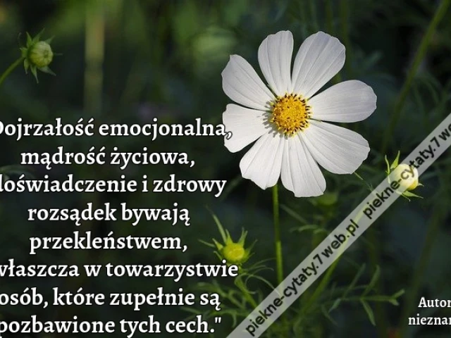 "Dojrzałość emocjonalna, mądrość życiowa, doświadczenie i zdrowy rozsądek bywają przekleństwem, zwłaszcza w towarzystwie osób, które zupełnie są pozbawione tych cech."