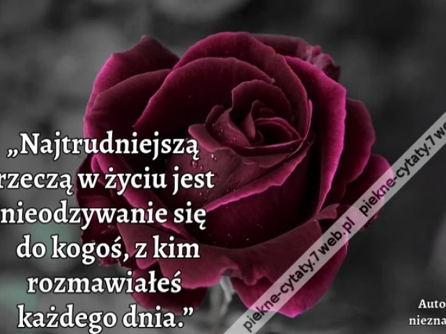 „Najtrudniejszą rzeczą w życiu jest nieodzywanie się do kogoś, z kim rozmawiałeś każdego dnia.”