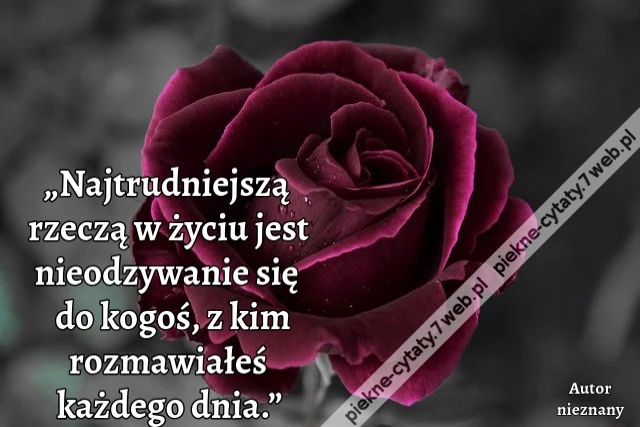 „Najtrudniejszą rzeczą w życiu jest nieodzywanie się do kogoś, z kim rozmawiałeś każdego dnia.”