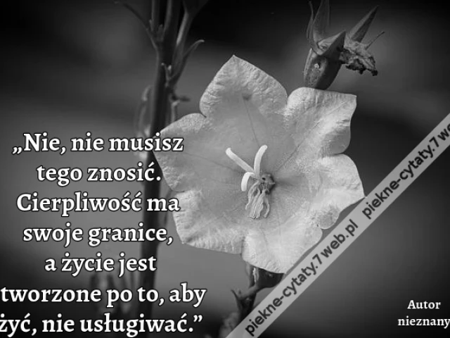 „Nie, nie musisz tego znosić. Cierpliwość ma swoje granice, a życie jest stworzone po to, aby żyć, nie usługiwać.”