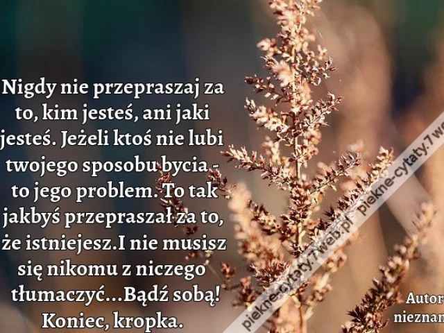 Nigdy nie przepraszaj za to, kim jesteś, ani jaki jesteś.  Jeżeli ktoś nie lubi twojego sposobu bycia - to jego problem.  To tak jakbyś przepraszał za to, że istniejesz. I nie musisz się nikomu z niczego tłumaczyć... Bądź sobą! Koniec, kropka.