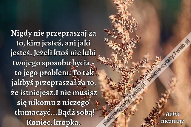 Nigdy nie przepraszaj za to, kim jesteś, ani jaki jesteś. Jeżeli ktoś nie lubi twojego sposobu bycia - to jego problem. To tak jakbyś przepraszał za to, że istniejesz. I nie musisz się nikomu z niczego tłumaczyć... Bądź sobą! Koniec, kropka.