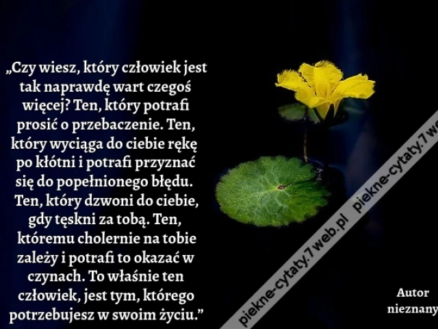 „Czy wiesz, który człowiek jest tak naprawdę wart czegoś więcej? Ten, który potrafi prosić o przebaczenie. Ten, który wyciąga do ciebie rękę po kłótni i potrafi przyznać się do popełnionego błędu. Ten, który dzwoni do ciebie, gdy tęskni za tobą. Ten, któr