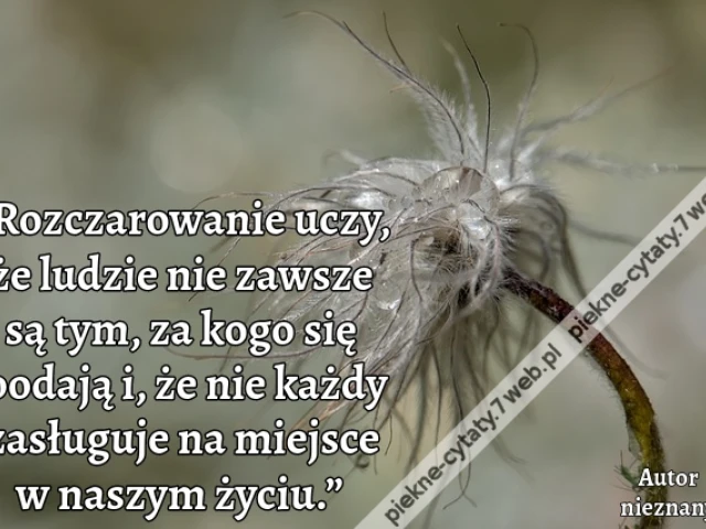 „Rozczarowanie uczy, że ludzie nie zawsze są tym, za kogo się podają i, że nie każdy zasługuje na miejsce w naszym życiu.”