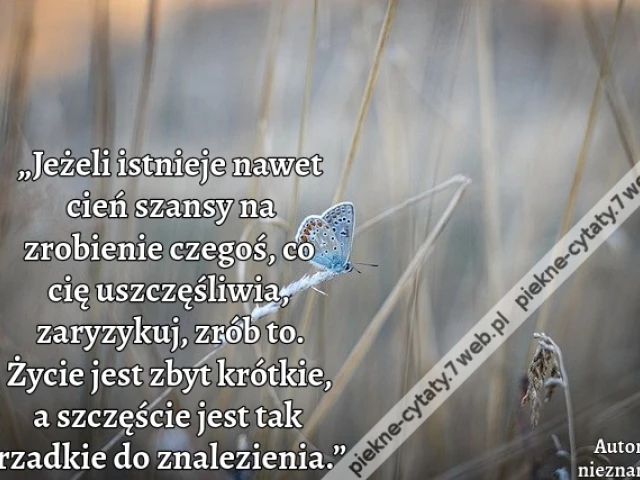 „Jeżeli istnieje nawet cień szansy na zrobienie czegoś, co cię uszczęśliwia, zaryzykuj, zrób to. Życie jest zbyt krótkie, a szczęście jest tak rzadkie do znalezienia.”