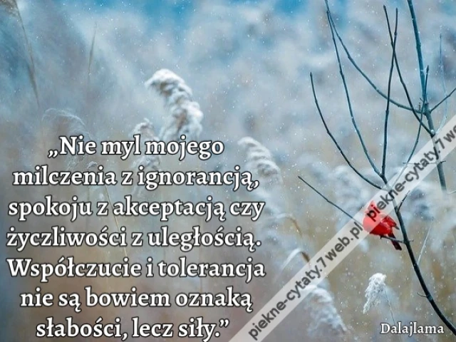 „Nie myl mojego milczenia z ignorancją, spokoju z akceptacją czy życzliwości z uległością. Współczucie i tolerancja nie są bowiem oznaką słabości, lecz siły.”