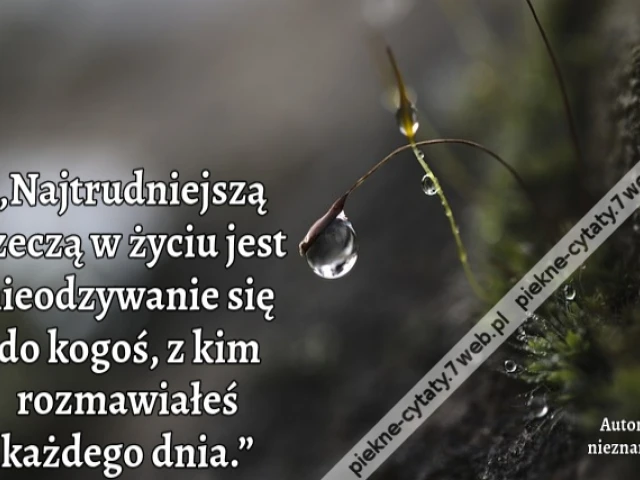 „Najtrudniejszą rzeczą w życiu jest nieodzywanie się do kogoś, z kim rozmawiałeś każdego dnia.”