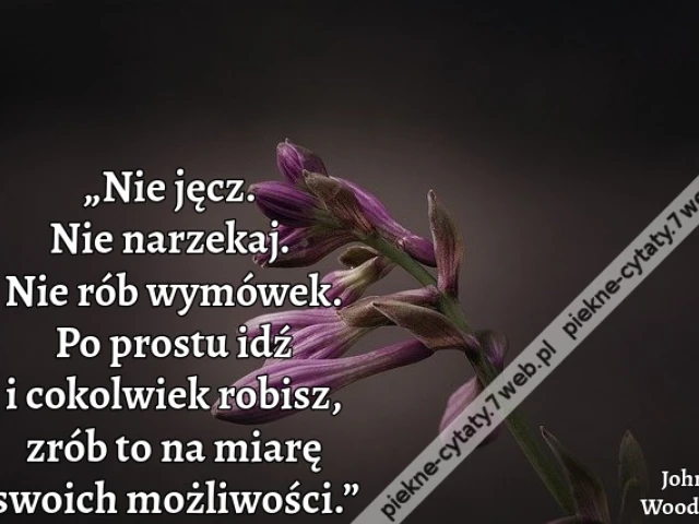 „Nie jęcz. Nie narzekaj. Nie rób wymówek. Po prostu idź i cokolwiek robisz, zrób to na miarę swoich możliwości.”