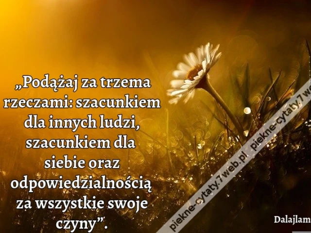 „Podążaj za trzema rzeczami: szacunkiem dla innych ludzi, szacunkiem dla siebie oraz odpowiedzialnością za wszystkie swoje czyny”.