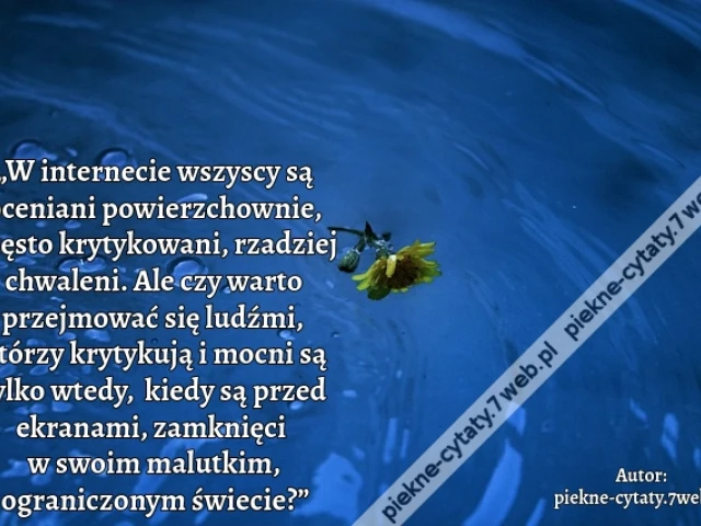 „W internecie wszyscy są oceniani powierzchownie, często krytykowani, rzadziej chwaleni. Ale czy warto przejmować się ludźmi, którzy krytykują i mocni są tylko wtedy,  kiedy są przed ekranami, zamknięci  w swoim malutkim, ograniczonym świecie?”