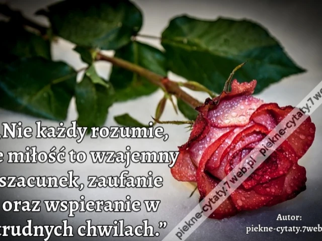 „Nie każdy rozumie, że miłość to wzajemny szacunek, zaufanie oraz wspieranie w trudnych chwilach.”