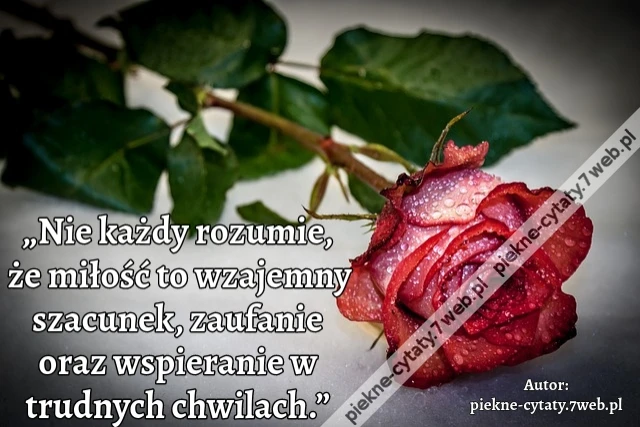 „Nie każdy rozumie, że miłość to wzajemny szacunek, zaufanie oraz wspieranie w trudnych chwilach.”