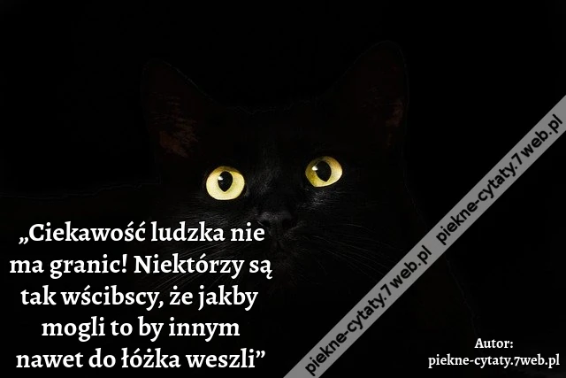 „Ciekawość ludzka nie ma granic! Niektórzy są tak wścibscy, że jakby mogli to by innym nawet do łóżka weszli”