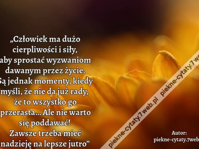 „Człowiek ma dużo cierpliwości i siły, aby sprostać wyzwaniom dawanym przez życie. Są jednak momenty, kiedy myśli, że nie da już rady, że to wszystko go przerasta… Ale nie warto się poddawać! Zawsze trzeba mieć nadzieję na lepsze jutro”