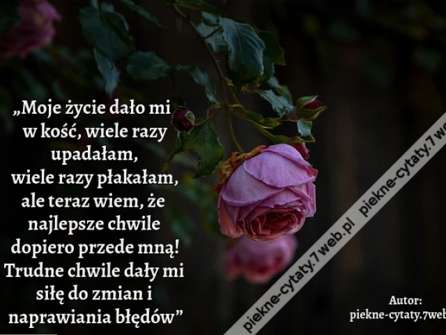 „Moje życie dało mi w kość, wiele razy upadałam, wiele razy płakałam, ale teraz wiem, że najlepsze chwile dopiero przede mną! Trudne chwile dały mi siłę do zmian i naprawiania błędów”