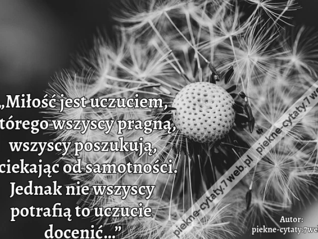 „Miłość jest uczuciem, którego wszyscy pragną, wszyscy poszukują, uciekając od samotności. Jednak nie wszyscy potrafią to uczucie docenić…”i