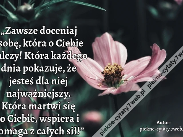 „Zawsze doceniaj osobę,  która o Ciebie walczy! Która każdego dnia pokazuje, że jesteś dla niej najważniejszy. Która martwi się o Ciebie, wspiera i pomaga z całych sił!”