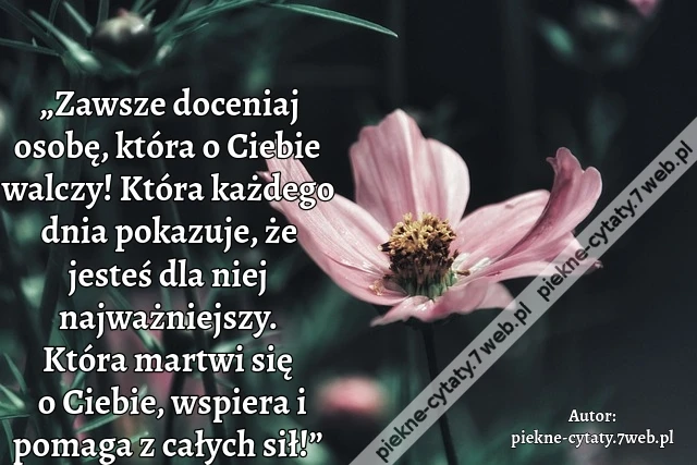 „Zawsze doceniaj osobę, która o Ciebie walczy! Która każdego dnia pokazuje, że jesteś dla niej najważniejszy. Która martwi się o Ciebie, wspiera i pomaga z całych sił!”
