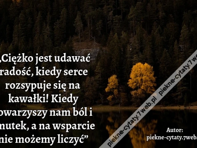 „Ciężko jest udawać radość, kiedy serce rozsypuje się na kawałki! Kiedy towarzyszy nam ból i smutek, a na wsparcie nie możemy liczyć”