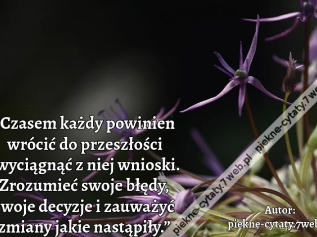 „Czasem każdy powinien wrócić do przeszłości i wyciągnąć z niej wnioski. Zrozumieć swoje błędy, swoje decyzje i zauważyć zmiany jakie nastąpiły.”