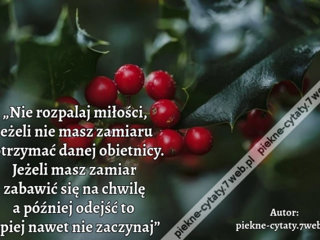 „Nie rozpalaj miłości, jeżeli nie masz zamiaru dotrzymać danej obietnicy. Jeżeli masz zamiar zabawić się na chwilę a później odejść to lepiej nawet nie zaczynaj”