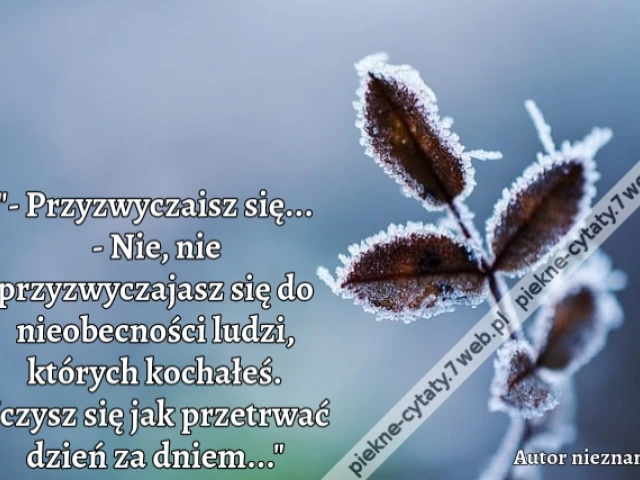 - Przyzwyczaisz się... - Nie, nie przyzwyczajasz się do nieobecności ludzi, których kochałeś. Uczysz się jak przetrwać dzień za dniem...
