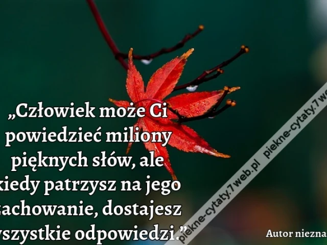 „Człowiek może Ci powiedzieć miliony pięknych słów, ale kiedy patrzysz na jego zachowanie, dostajesz wszystkie odpowiedzi.”