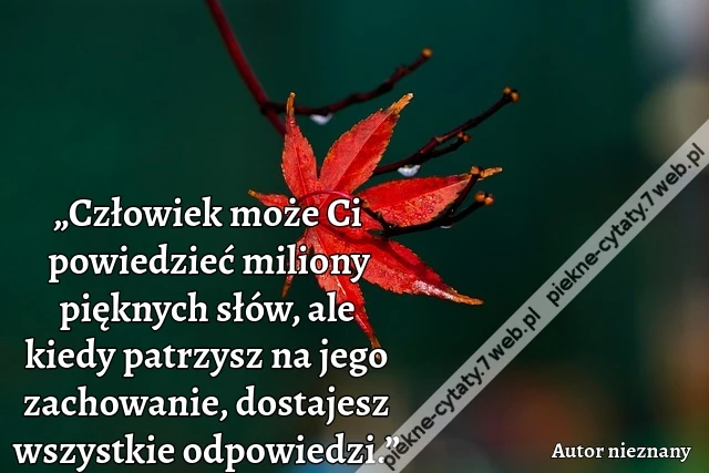 „Człowiek może Ci powiedzieć miliony pięknych słów, ale kiedy patrzysz na jego zachowanie, dostajesz wszystkie odpowiedzi.”