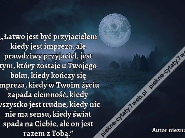 „Łatwo jest być przyjacielem kiedy jest impreza, ale prawdziwy przyjaciel, jest tym, który zostaje u Twojego boku, kiedy kończy się impreza, kiedy w Twoim życiu zapada ciemność, kiedy wszystko jest trudne, kiedy nic nie ma sensu, kiedy świat spada na Cieb