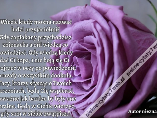 "Wiecie kiedy można nazwać ludzi przyjaciółmi? Gdy zapłakany przychodzisz znienacka a oni wiedzą co powiedzieć. Gdy wiedzą kiedy dać Ci kopa, i nie boją się Ci spojrzeć w oczy po powiedzeniu prawdy o wszystkim dookoła. Tacy, którzy słysząc o Twoich marzen