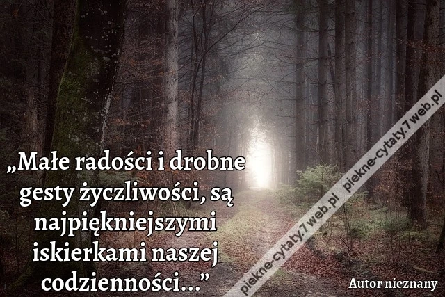 „Małe radości i drobne gesty życzliwości, są najpiękniejszymi iskierkami naszej codzienności...”