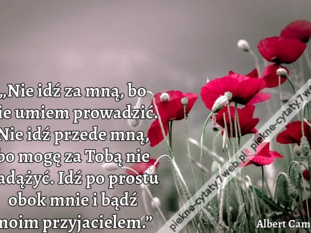 „Nie idź za mną, bo nie umiem prowadzić. Nie idź przede mną, bo mogę za Tobą nie nadążyć. Idź po prostu obok mnie i bądź moim przyjacielem.”