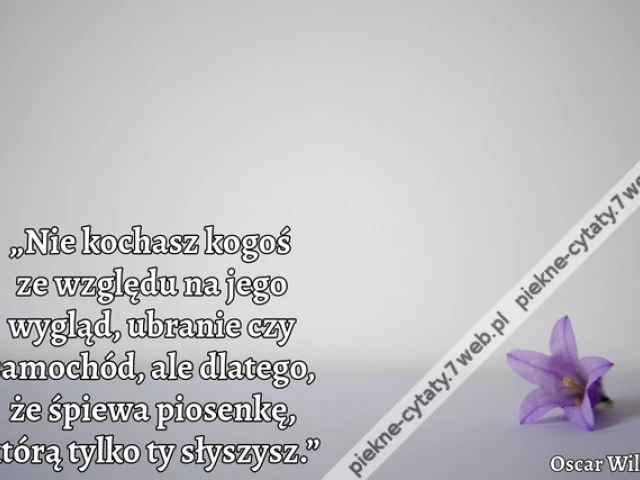 „Nie kochasz kogoś ze względu na jego wygląd, ubranie czy samochód, ale dlatego, że śpiewa piosenkę, którą tylko ty słyszysz.”
