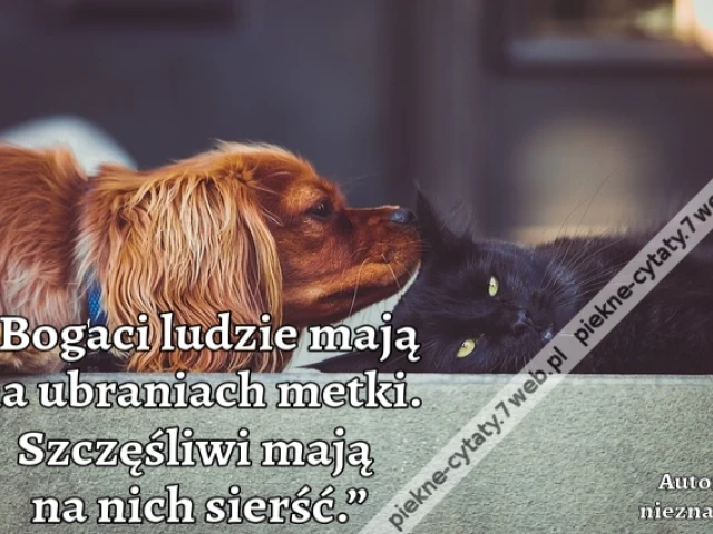 „Bogaci ludzie mają na ubraniach metki. Szczęśliwi mają na nich sierść.”