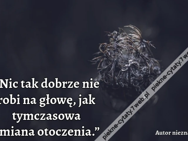 „Nic tak dobrze nie robi na głowę, jak tymczasowa zmiana otoczenia.”