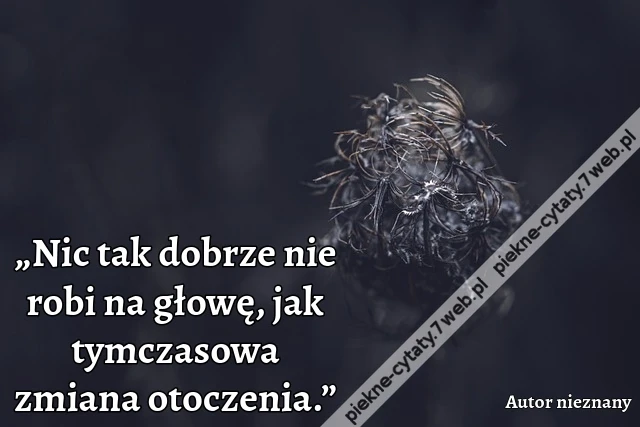 „Nic tak dobrze nie robi na głowę, jak tymczasowa zmiana otoczenia.”