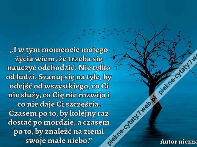 „I w tym momencie mojego życia wiem, że trzeba się nauczyć odchodzić. Nie tylko od ludzi. Szanuj się na tyle, by odejść od wszystkiego, co Ci nie służy, co Cię nie rozwija i co nie daje Ci szczęścia. Czasem po to, by kolejny raz dostać po mordzie, a czase